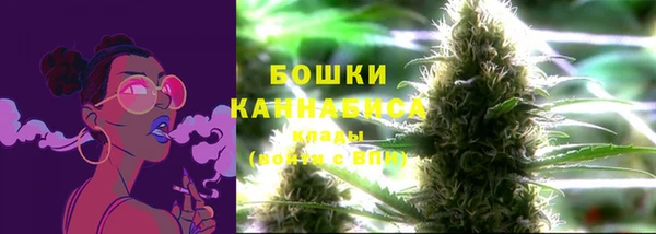 MESCALINE Аркадак