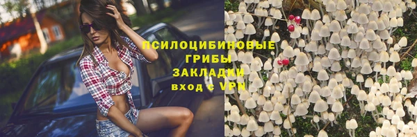 мяу мяу кристалл Арсеньев